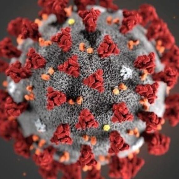 Meet your Posher, Corina maxinne - Picture 1 of 1